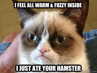 I feel all warm & Fuzzy inside I just ate your hamster  