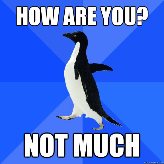 How are you? Not much  Socially Awkward Penguin