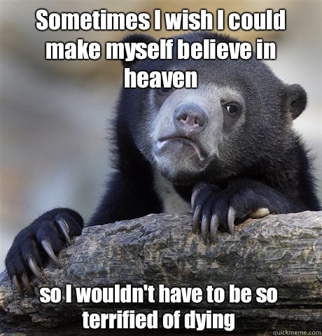 Sometimes I wish I could make myself believe in heaven  so I wouldn't have to be so terrified of dying  Confession Bear