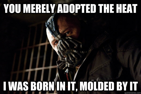 YOU MERELY ADOPTED THE HEAT I WAS BORN IN IT, MOLDED BY IT  