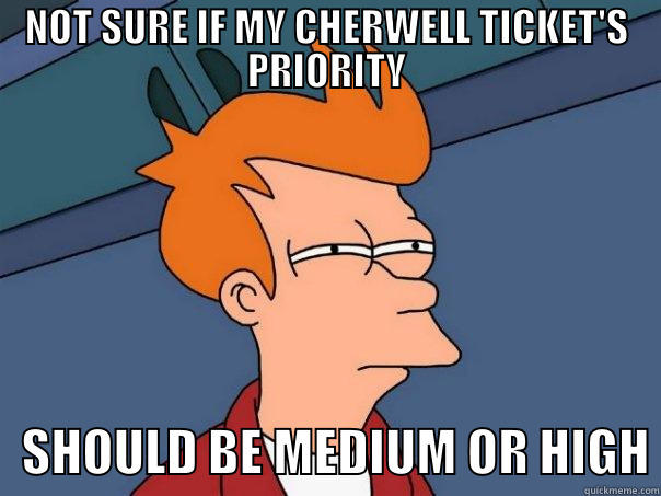 NOT SURE IF MY CHERWELL TICKET'S PRIORITY    SHOULD BE MEDIUM OR HIGH Futurama Fry