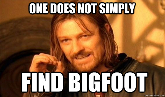 One does not simply FIND BIGFOOT  Boromir