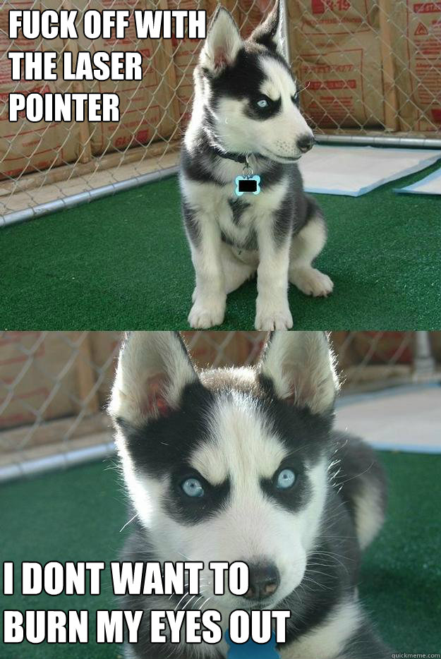 FUCK OFF WITH 
THE LASER 
POINTER I DONT WANT TO 
BURN MY EYES OUT  Insanity puppy