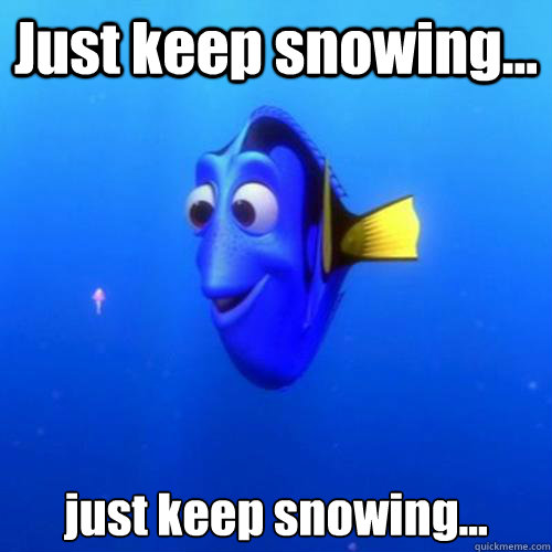 Just keep snowing... just keep snowing...  dory