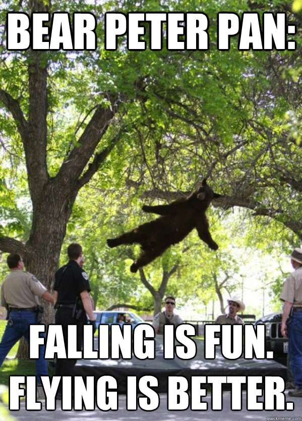 Bear Peter Pan: Falling is fun.
Flying is better.  