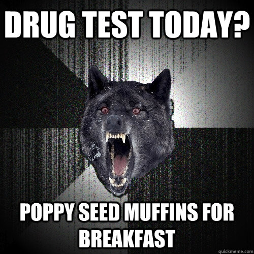 Drug test today? poppy seed muffins for breakfast  Insanity Wolf