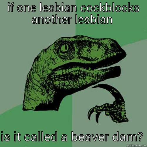  IF ONE LESBIAN COCKBLOCKS ANOTHER LESBIAN  IS IT CALLED A BEAVER DAM? Philosoraptor