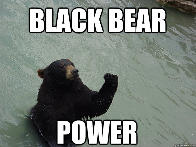 Black Bear Power  Vengeful Bear