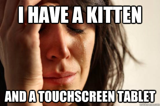 I have a kitten And a touchscreen tablet  First World Problems