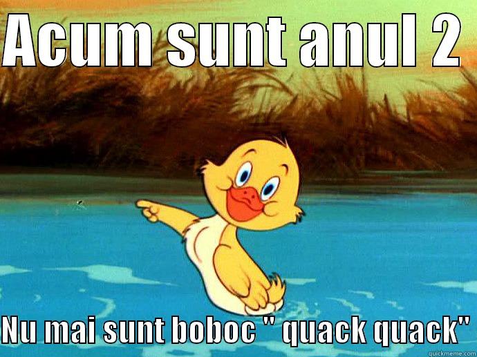 ACUM SUNT ANUL 2   NU MAI SUNT BOBOC 