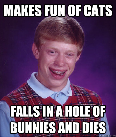 makes fun of cats falls in a hole of bunnies and dies  Bad Luck Brian