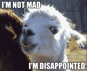 I'm not mad I'm disappointed  Disapproving Llama