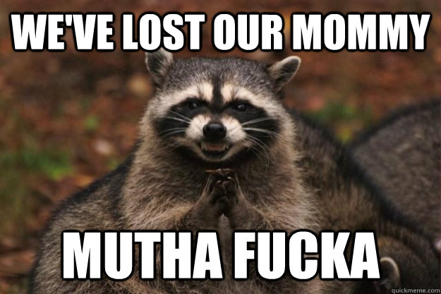 we've lost our mommy mutha fucka - we've lost our mommy mutha fucka  cheap racoon