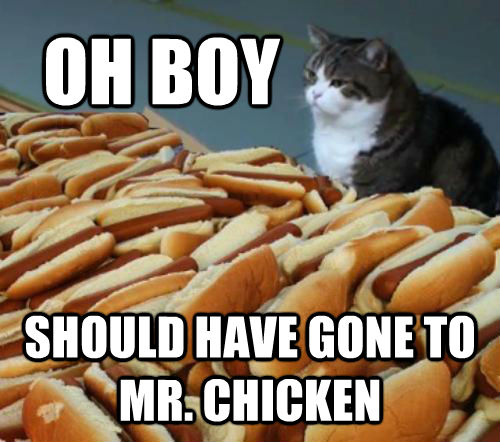 OH BOY SHOULD HAVE GONE TO MR. CHICKEN   Cat And Hotdogs