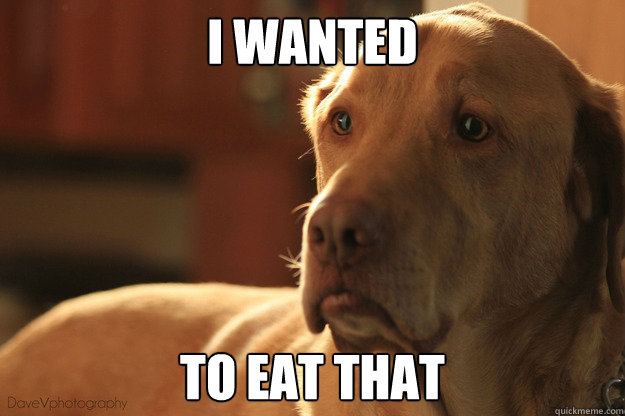 I wanted to eat that  Disappointed Dog