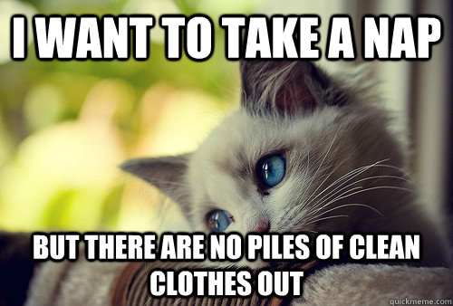 I want to take a nap But there are no piles of clean clothes out  First World Problems Cat