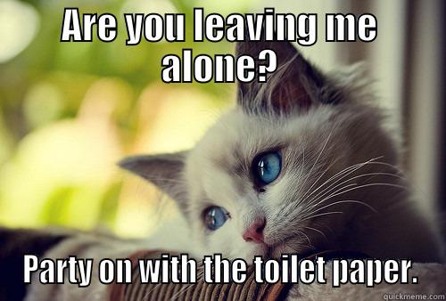 ARE YOU LEAVING ME ALONE? PARTY ON WITH THE TOILET PAPER. First World Problems Cat