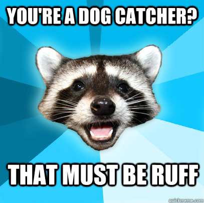 YOU'RE A DOG CATCHER? THAT MUST BE RUFF  Lame Pun Coon