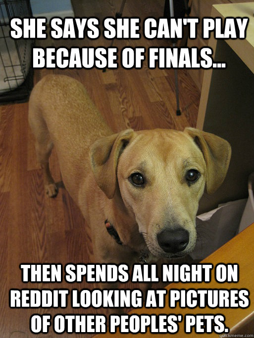 She says she can't play because of finals... then spends all night on Reddit looking at pictures of other peoples' pets.  