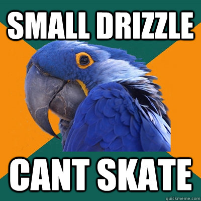 small drizzle cant skate  Paranoid Parrot
