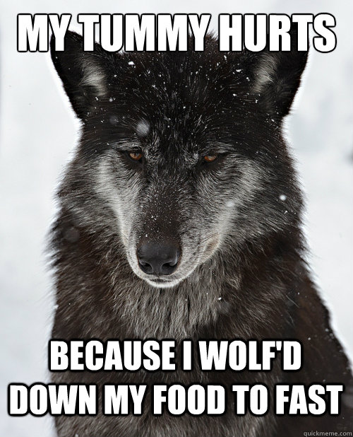 My tummy Hurts Because i wolf'd down my food to fast  