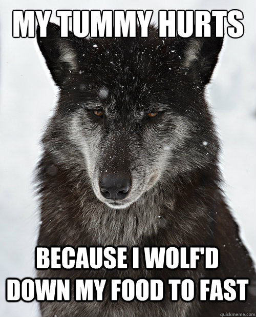 My tummy Hurts Because i wolf'd down my food to fast - My tummy Hurts Because i wolf'd down my food to fast  Sad Wolf