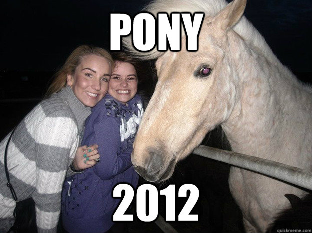 Pony 2012  Ridiculously Photogenic Horse