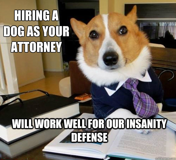 Hiring a dog as your attorney Will work well for our insanity defense   