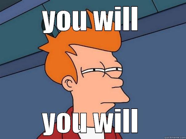   - YOU WILL YOU WILL Futurama Fry