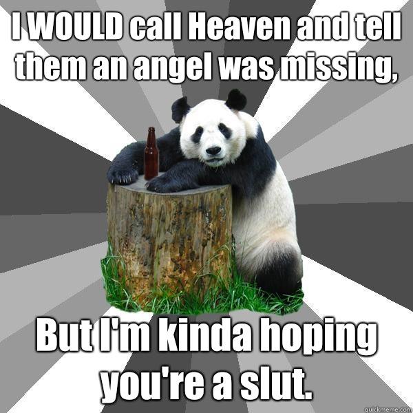 I WOULD call Heaven and tell them an angel was missing, But I'm kinda hoping you're a slut.   Pickup-Line Panda