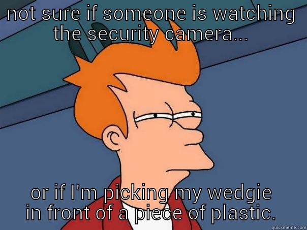 security cameras - NOT SURE IF SOMEONE IS WATCHING THE SECURITY CAMERA... OR IF I'M PICKING MY WEDGIE IN FRONT OF A PIECE OF PLASTIC. Futurama Fry