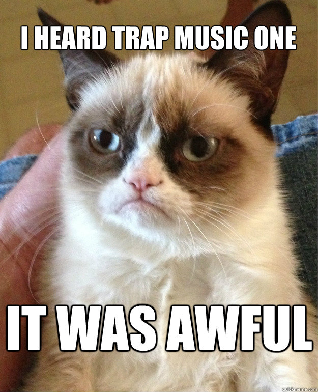 i heard trap music one it was awful  Grumpy Cat