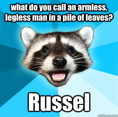what do you call an armless, legless man in a pile of leaves? Russel  Lame Pun Coon