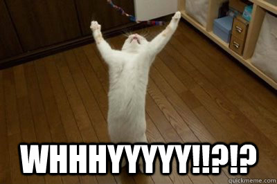  WHHHYYYYY!!?!? -  WHHHYYYYY!!?!?  Misc