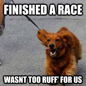 Finished a race Wasnt too Ruff' for us  Ridiculously Photogenic Dog