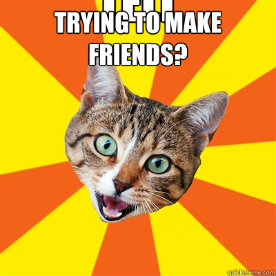 Trying to make friends? tell everyone you don't have any friends!  Bad Advice Cat