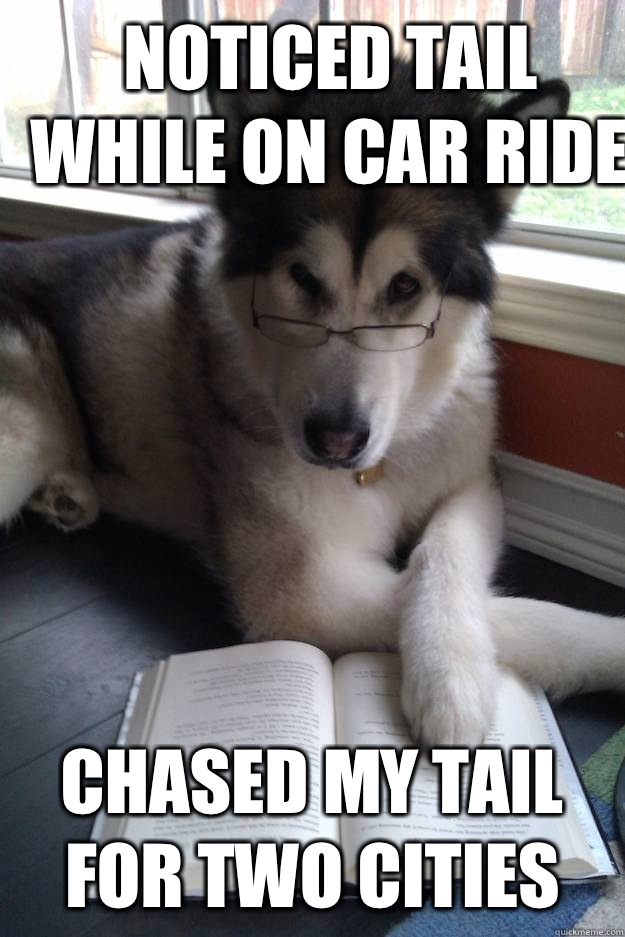 Noticed tail while on car ride Chased my Tail for Two Cities  Condescending Literary Pun Dog