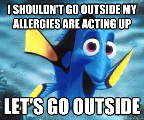 I shouldn't go outside my allergies are acting up Let's go outside  optimistic dory