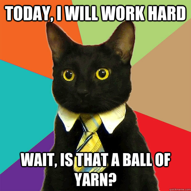 Today, i will work hard wait, is that a ball of yarn?  Business Cat