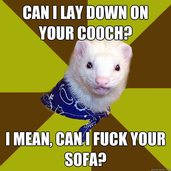 Can I lay down on your cooch? I mean, can I fuck your sofa? - Freudian