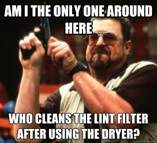 Am i the only one around here who cleans the lint filter after using the dryer?   Am I The Only One Around Here