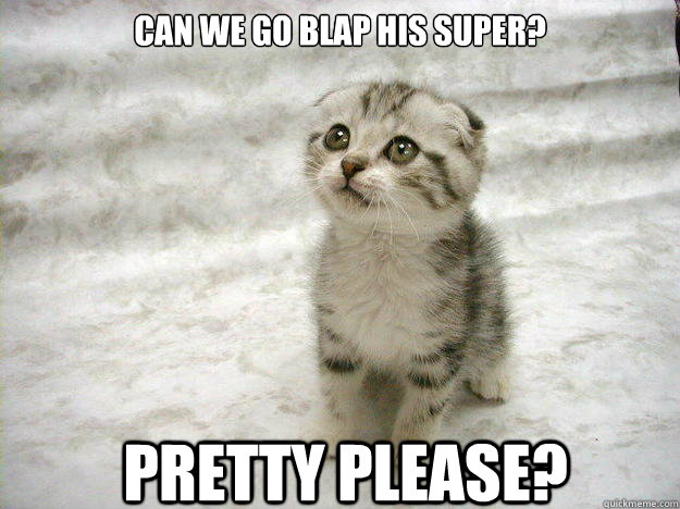 Can we go blap his super? Pretty Please? - Can we go blap his super? Pretty Please?  Begging kitty