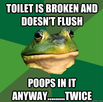 Toilet is broken and doesn't flush Poops in it anyway.........twice  Foul Bachelor Frog