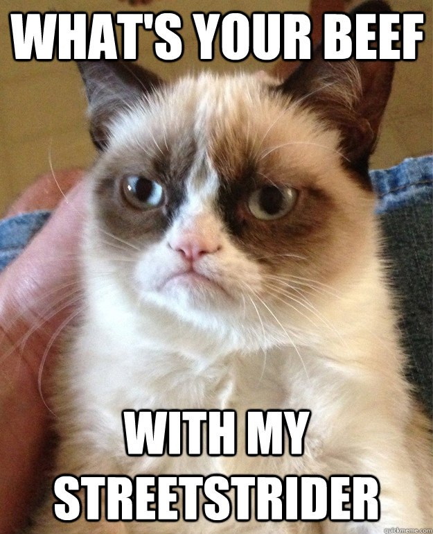 What's Your Beef With my StreetStrider  Grumpy Cat