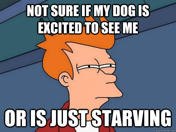 Not sure if my dog is excited to see me or is just starving  Futurama Fry