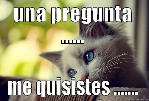 UNA PREGUNTA ...... ME QUISISTES ....... First World Problems Cat