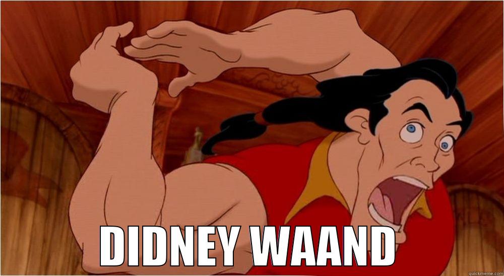  DIDNEY WAAND Misc