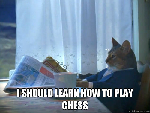  I should learn how to play chess  The One Percent Cat