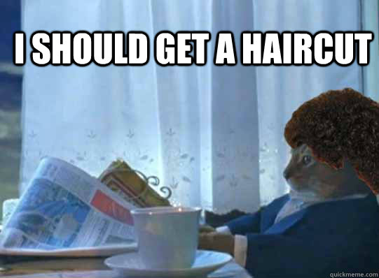 I should get a haircut   After 3 months of letting my extremely curly hair grow out