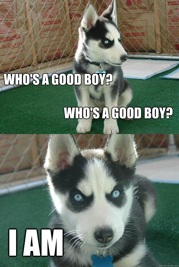 Who's a good boy?

                         Who's a good boy? I am - Who's a good boy?

                         Who's a good boy? I am  Insanity puppy
